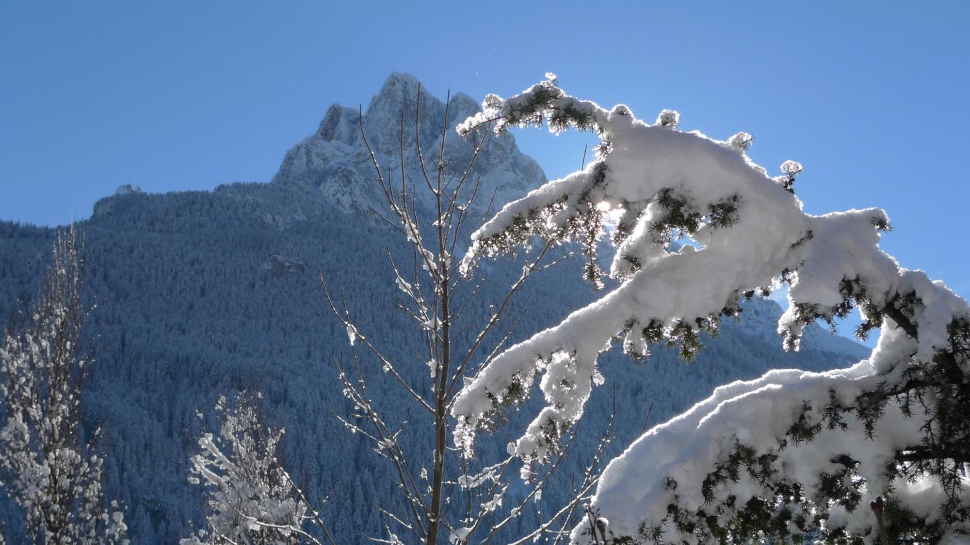 Villa Gemmy Pozza di Fassa Eksteriør bilde